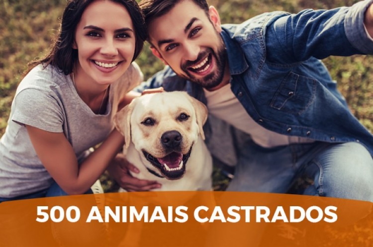 Centro de Castração de Cães e Gatos: 500 animais castrados em Catalão, em pouco mais de dois meses de funcionamento