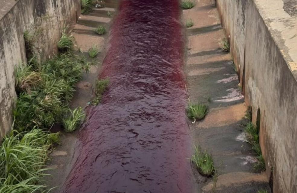 Prefeitura identifica empresa que descartou produto irregularmente no Ribeirão Pirapitinga