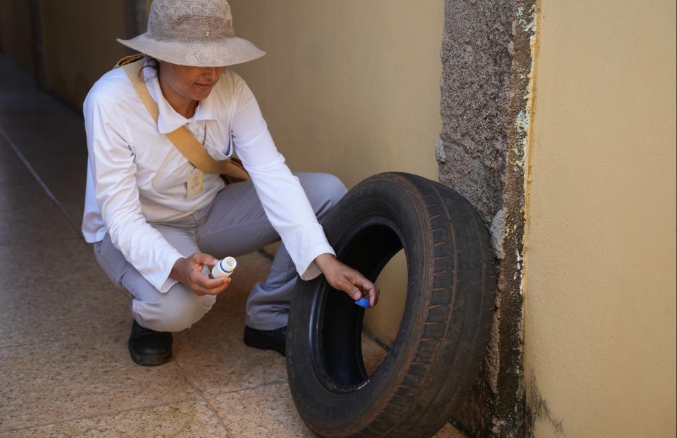 Dengue: Mutirão de enfrentamento ao mosquito transmissor da doença   começa pelo Castelo Branco